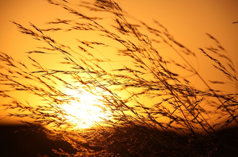Semana de tempo firme, calor e baixa umidade do ar em Mato Grosso do Sul
