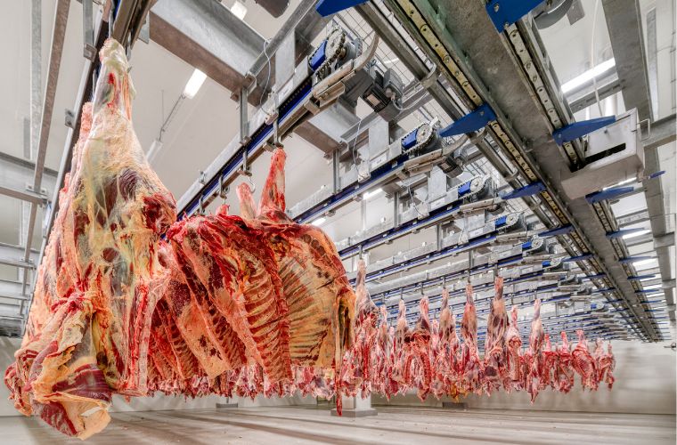 Programa Precoce MS ajuda Mato Grosso do Sul a produzir a melhor carne do Brasil