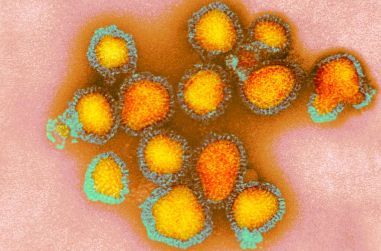 MS registra mais três mortes por H3N2; taxa de letalidade da Influenza é quase sete vezes maior que da Covid