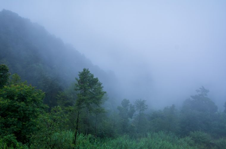 Chuva no final de semana pode atingir 50 mm ao dia e temperaturas não devem passar dos 30°C