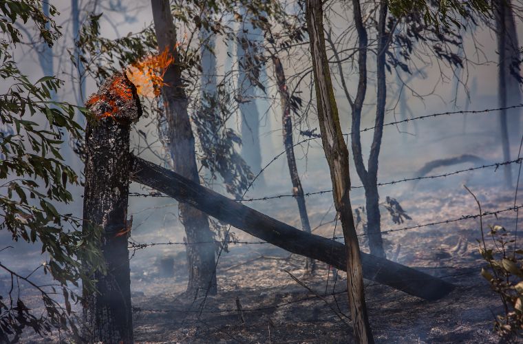 União declara estado de emergência ambiental em Mato Grosso do Sul