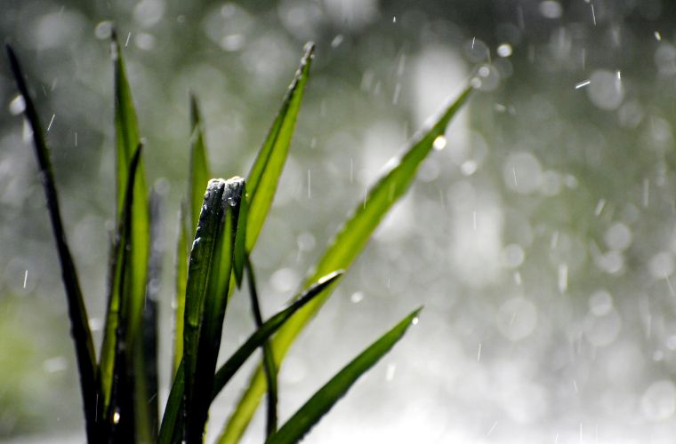 Última semana de março terá sol, pancadas de chuva e nova frente fria em MS