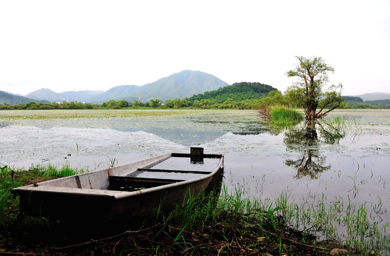 MS leva capacitação sobre turismo de Bonito e Pantanal para a BNT Mercosul em mais uma ação estratégica