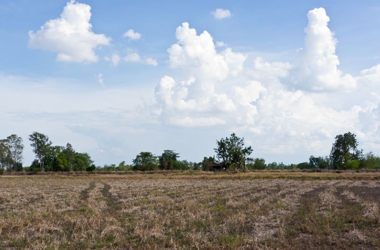 Semana inicia com tempo firme e seco em Mato Grosso do Sul