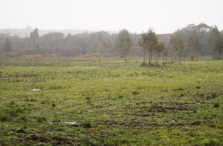Quarta-feira tem previsão de chuva em todas as regiões do Estado