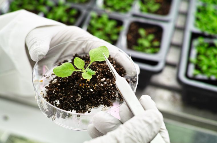 Mato Grosso do Sul quer atrair indústrias de produção de bioinsumos