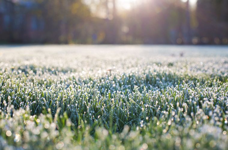 Semana começa com frio e geada em sete municípios de MS