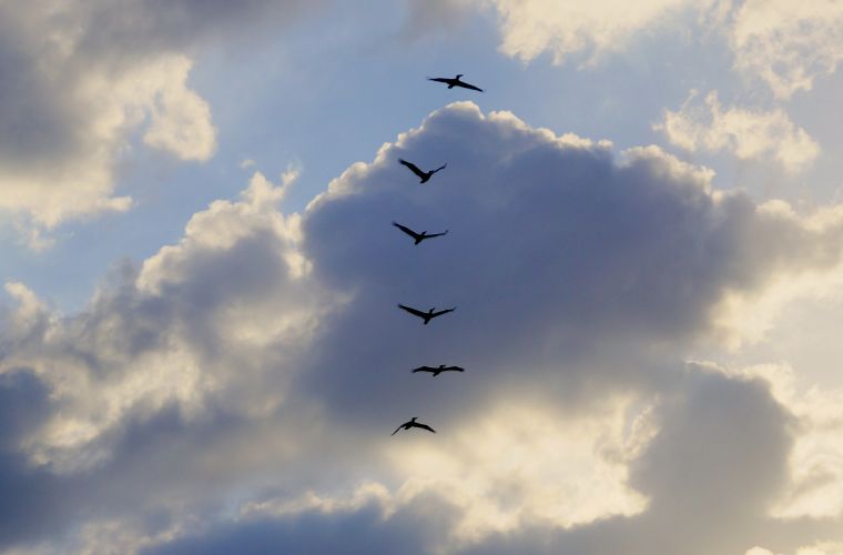 Semana começa com tempo firme e temperaturas amenas em boa parte do Estado