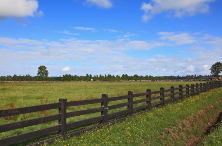 Segunda tem previsão de tempo firme, com sol e máxima de até 30°C no Estado