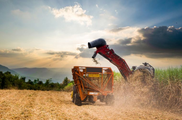 Mato Grosso do Sul é o 1º estado do Brasil em desenvolvimento agropecuário