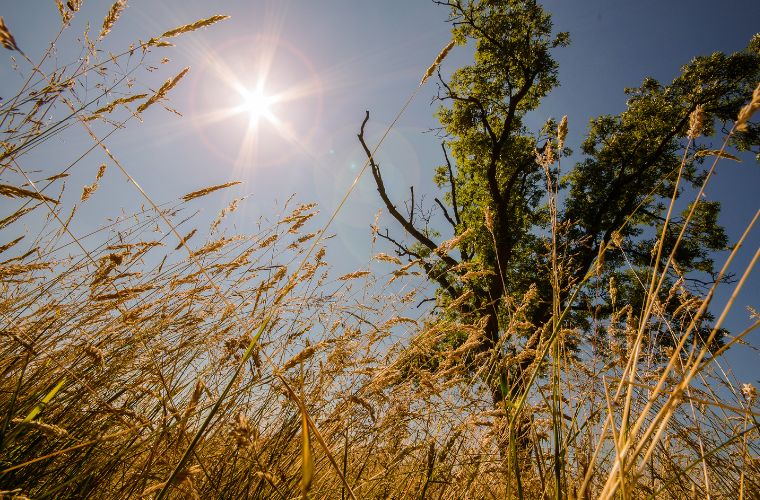 Semana inicia quente, com muito sol e baixa umidade em Mato Grosso do Sul