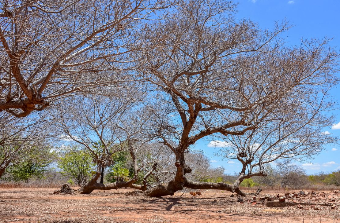 Meteorologia prevê mais um dia seco em MS com desconforto à saúde