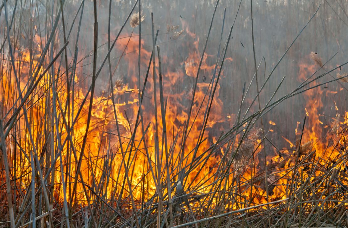 Combate a incêndios na região no Pantanal conta com 40 militares e apoio de aeronave