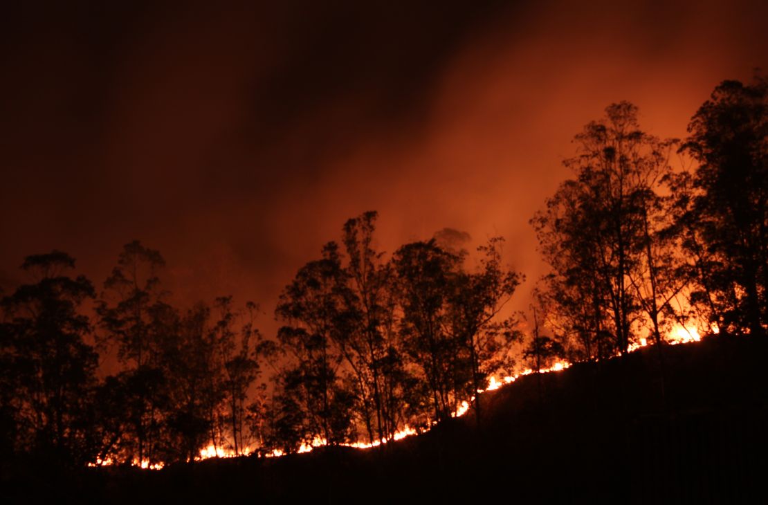 Com mais focos de calor e maior nº de hectares queimados no Pantanal, MS decreta situação de emergência