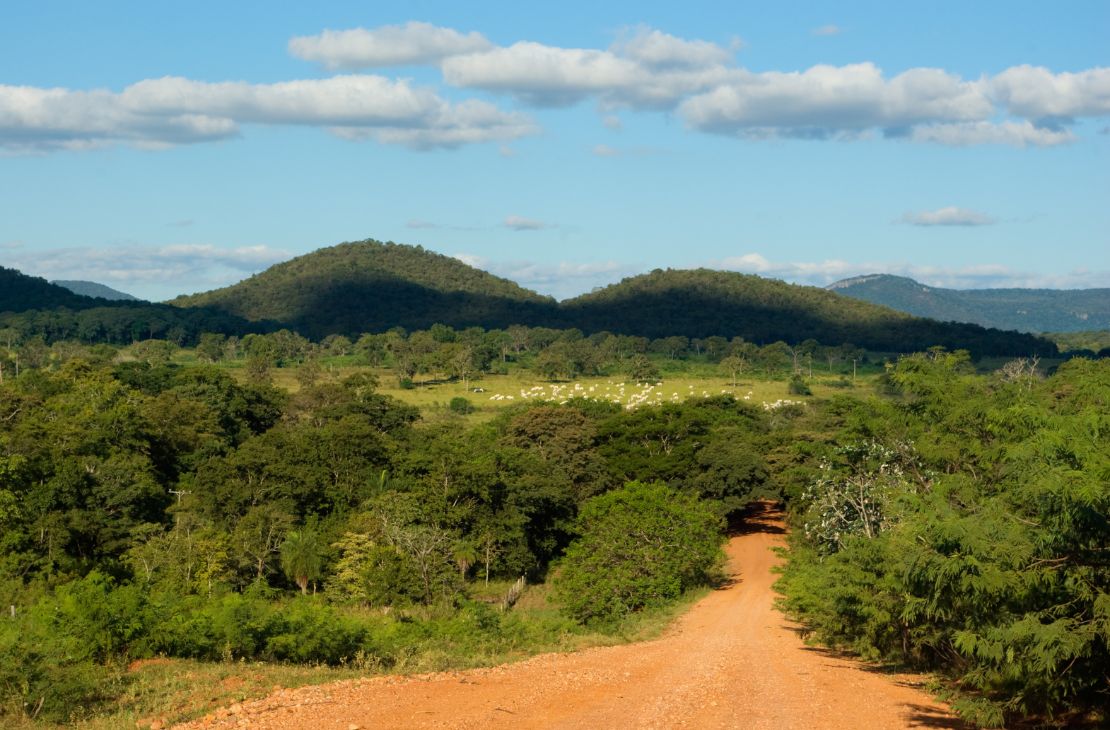 Temperatura poderá atingir 31ºC nesta quarta-feira
