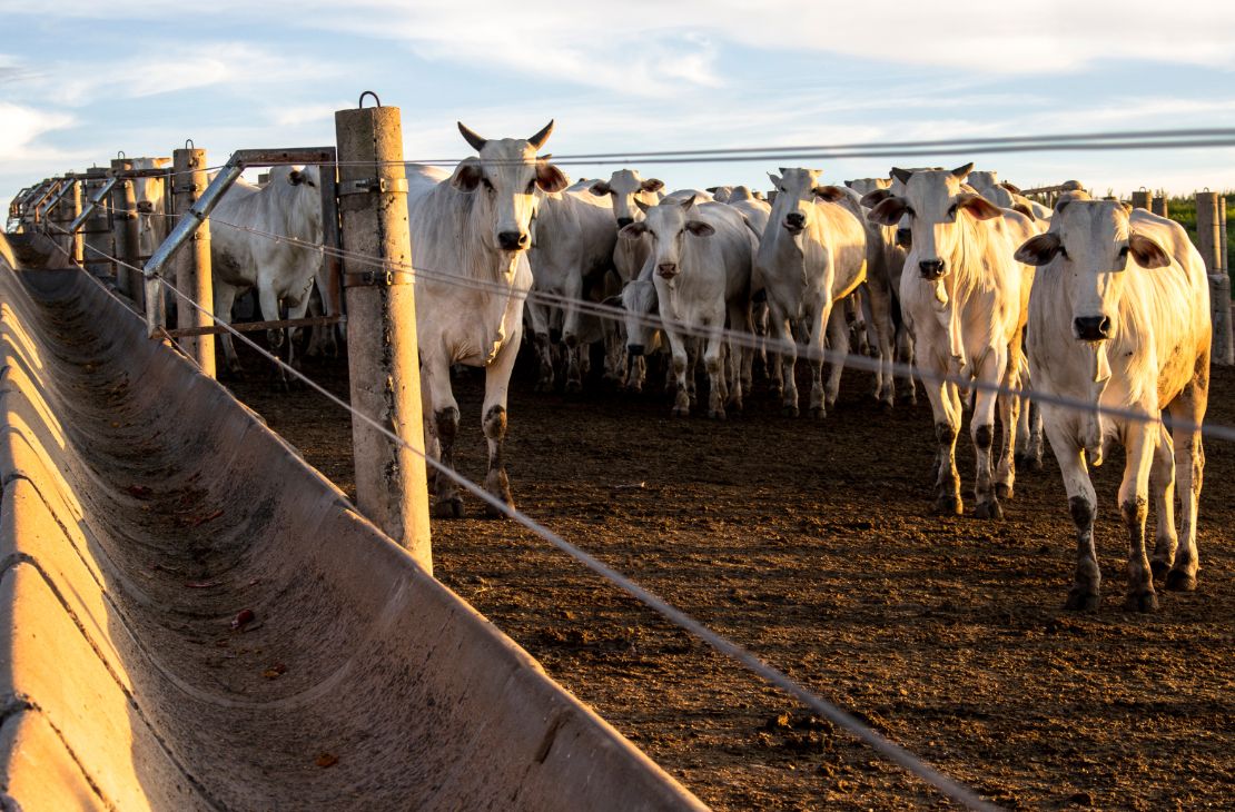 MS deve ter faturamento bruto de R$ 73,4 bilhões com a agropecuária em 2022