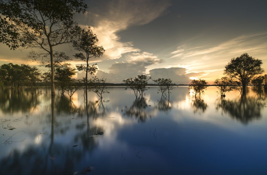 Pantanal de MS tem agosto com menor número de focos de calor em 24 anos