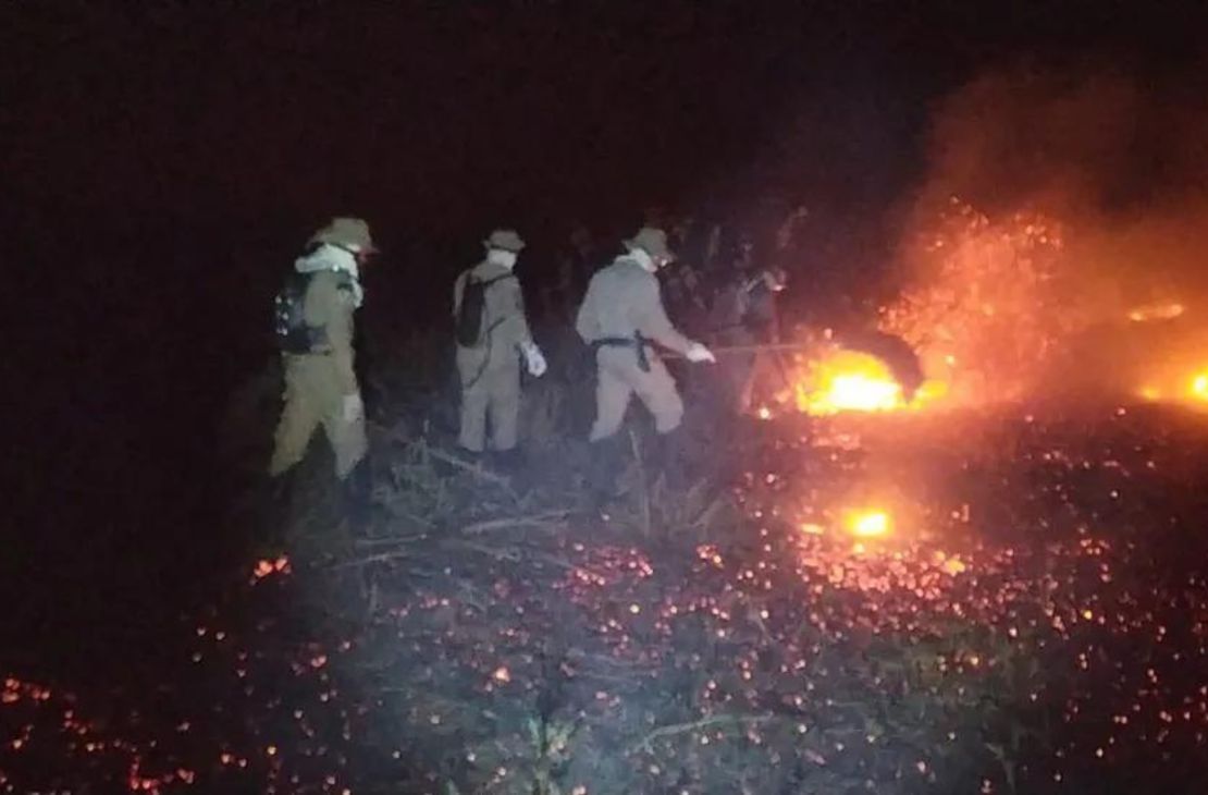 Fogo no Pantanal: bombeiros combatem focos de incêndios às margens do rio Taquari