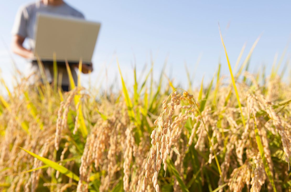 Avanços no agro de MS consolidam políticas públicas, organizações de base e ampliam tecnologias para o campo