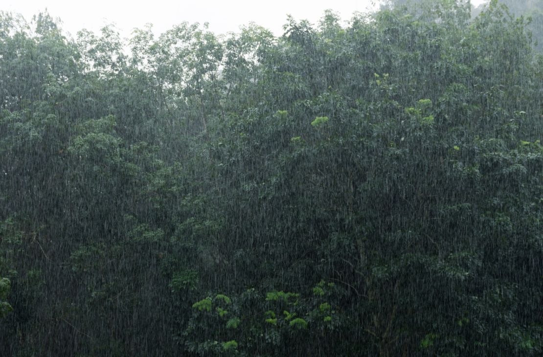 Previsão aponta chuva em todo o estado com possibilidades de tempestade