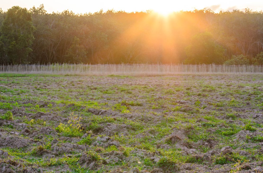 Advogado é preso em cartório tentando vender terreno de outra pessoa na Capital