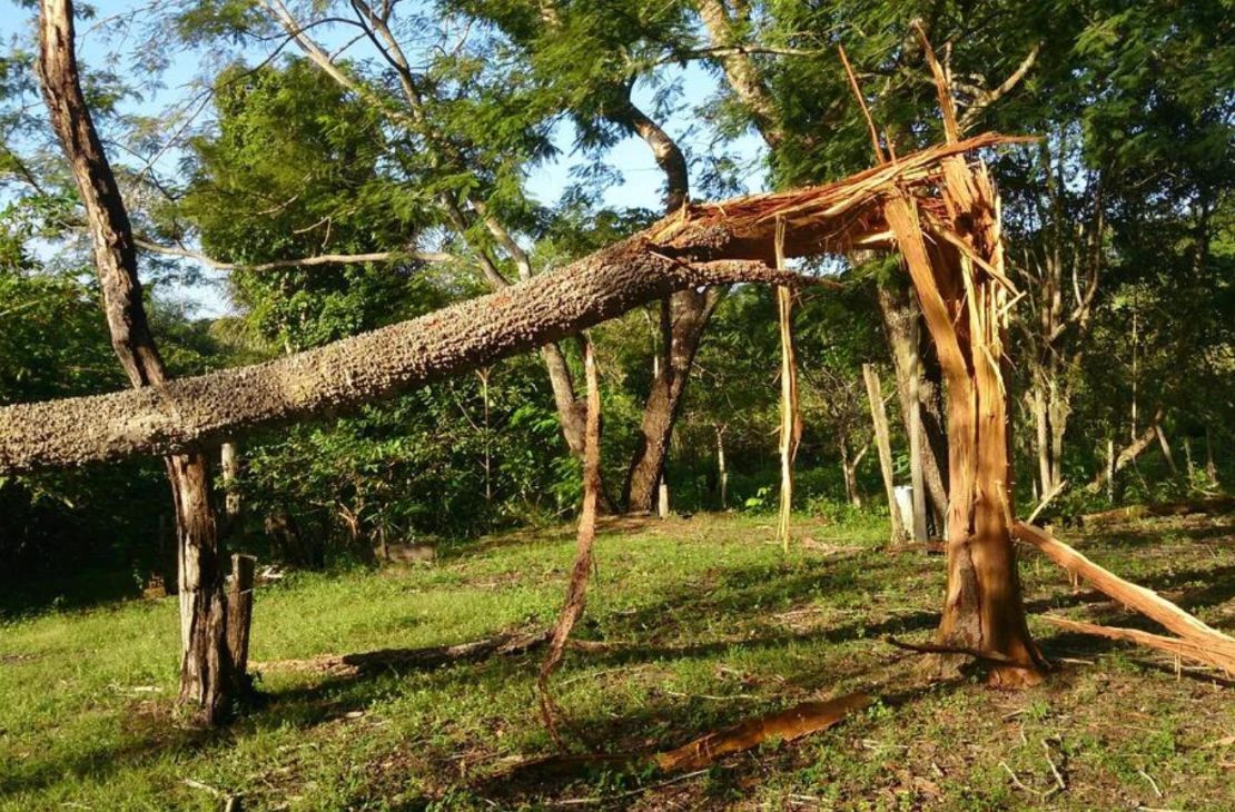 Peão morre ao ser atingido por raio enquanto se abrigava de chuva debaixo de árvore em MS