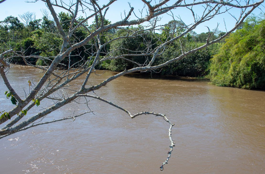Piracema começa nesta sexta-feira e pesca fica proibida em rios e lagos de MS até fevereiro de 2023