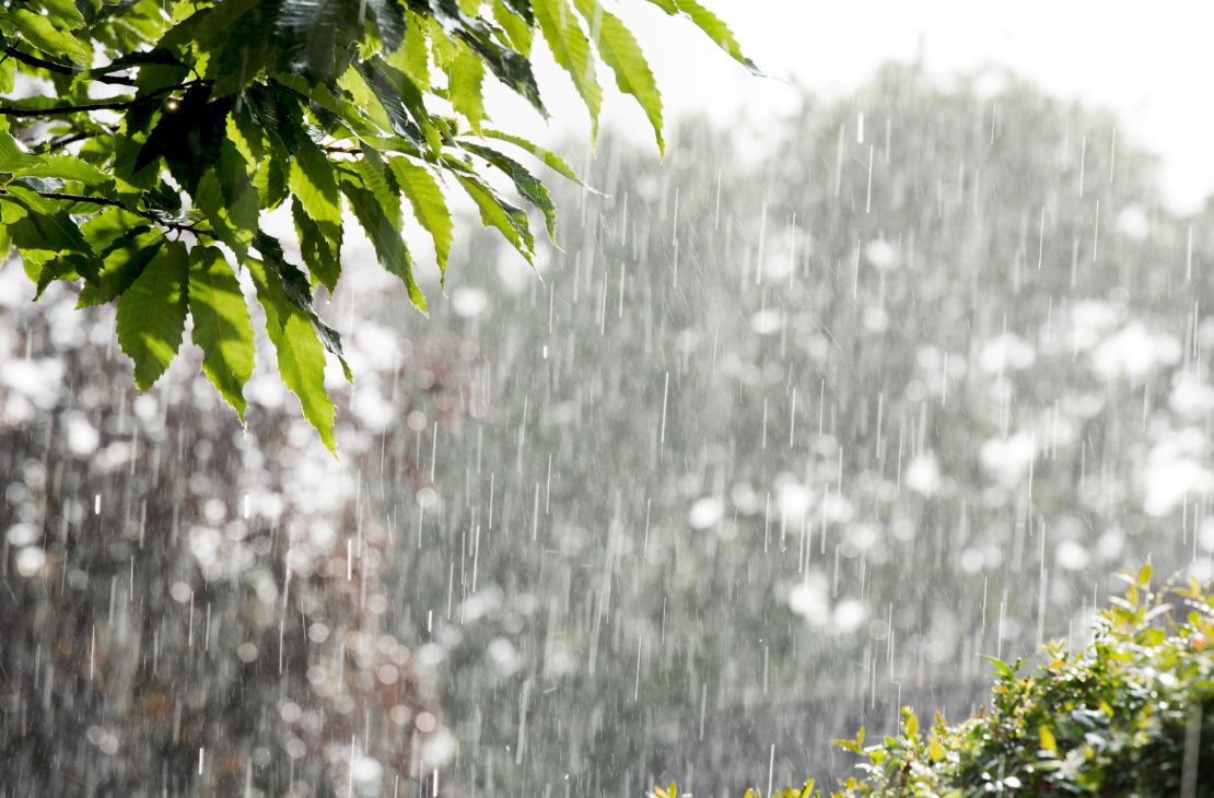 Novembro se despede com tempo seco e pancadas de chuva em Mato Grosso do Sul