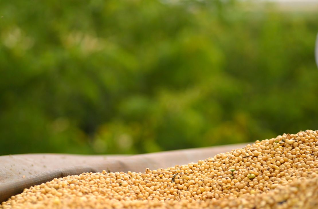 Agronegócio prevê alta dos custos de produção no próximo ano