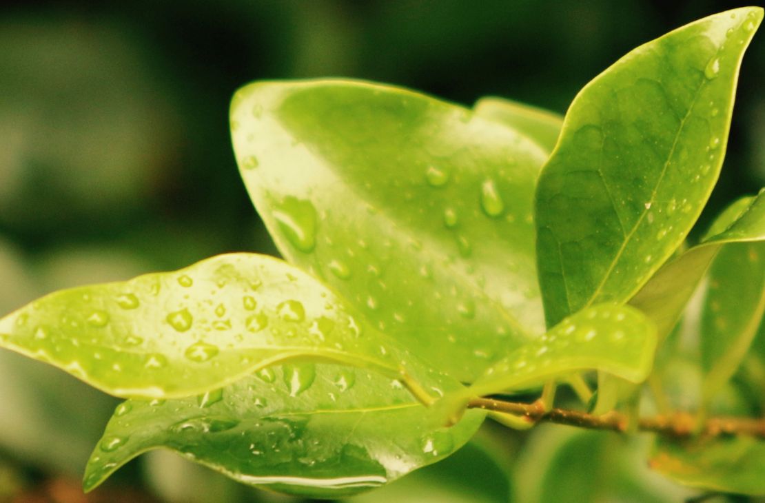 Chuva no final de semana ameniza calorão; confira previsão do Cemtec para MS