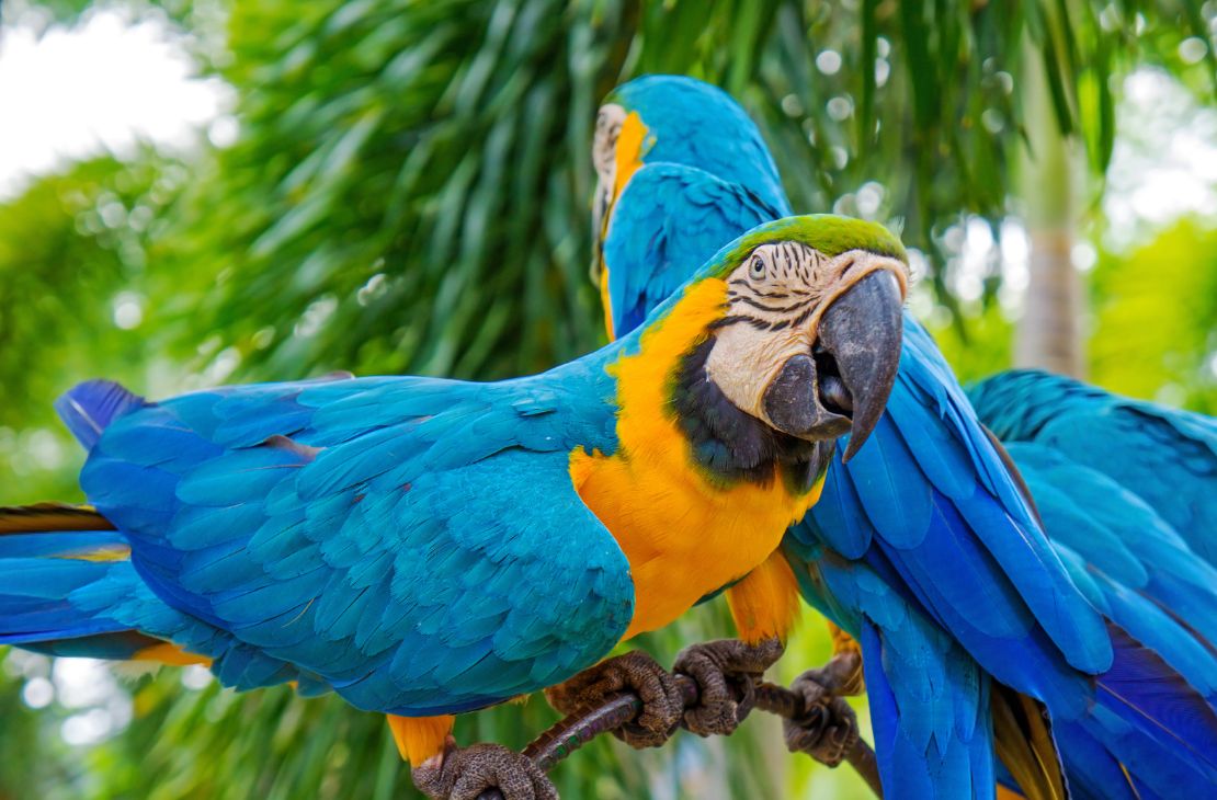 Última semana de 2022 começa com tempo instável em Mato Grosso do Sul