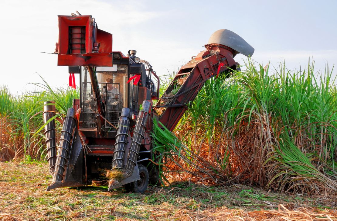 Produção de cana-de-açúcar cresce 2,7% e pode chegar a 42,4 mil toneladas em MS