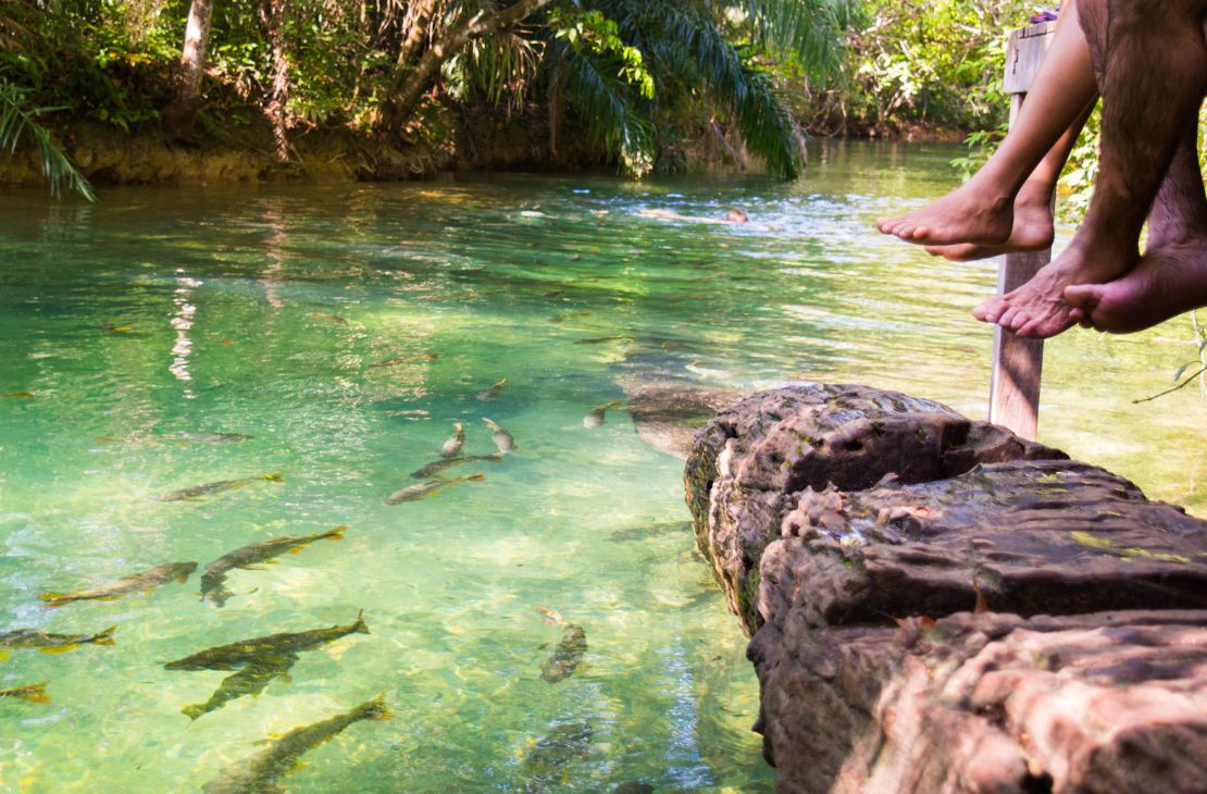 Com apoio do Governo, Bonito bate recorde com 280 mil turistas no ano passado