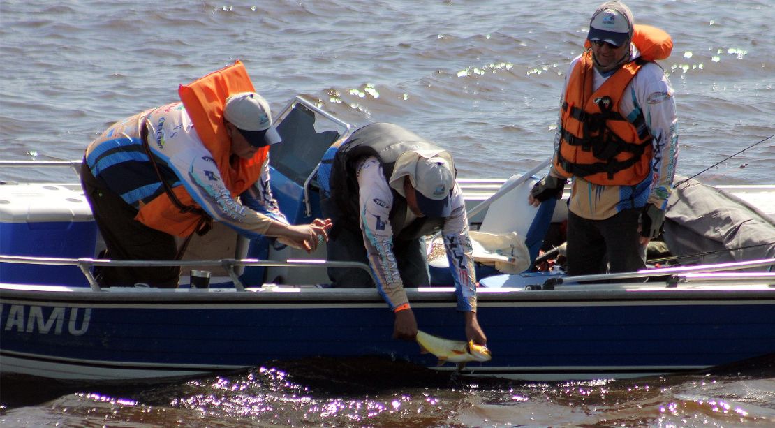 Atração turística, pesque e solte abre temporada da pesca esportiva em MS