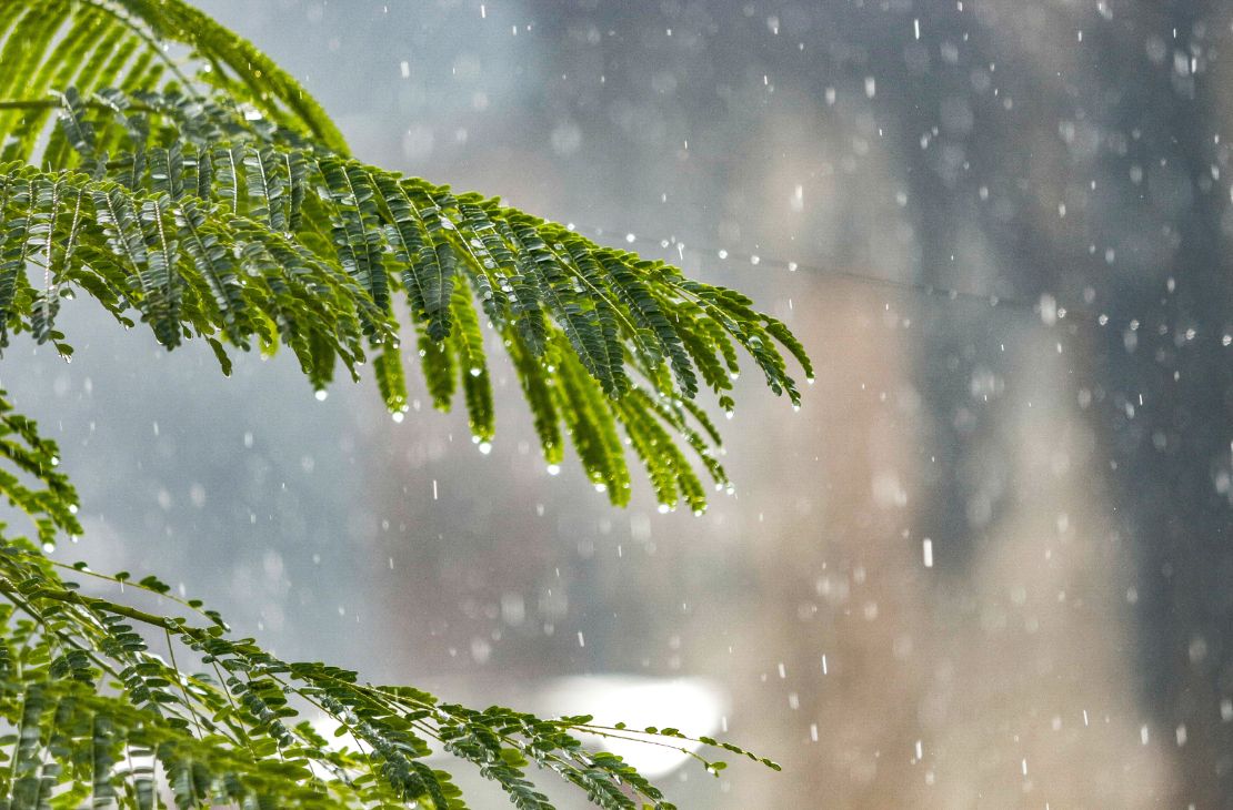 Fevereiro começa com chuvas intensas em Mato Grosso do Sul, prevê Cemtec