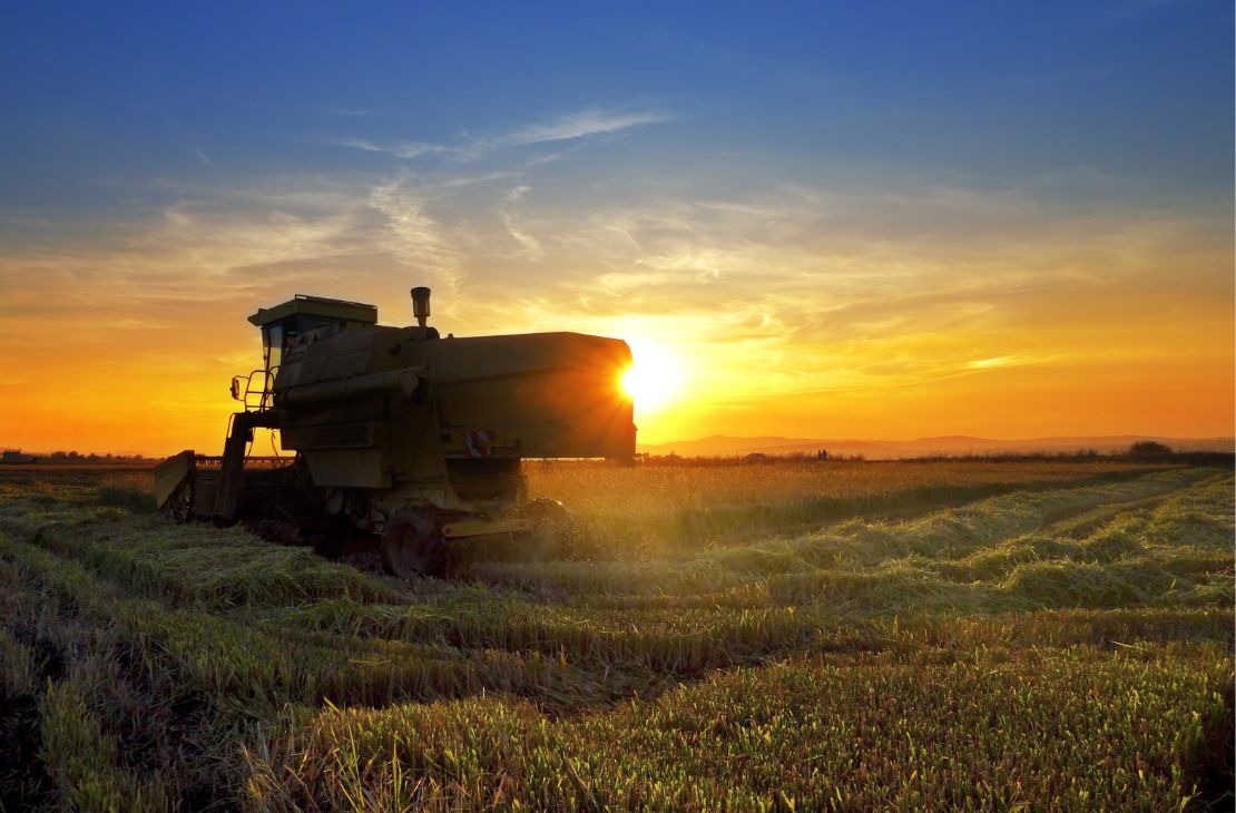 Mato Grosso do Sul foi o terceiro estado do Brasil que mais gerou vagas no agronegócio