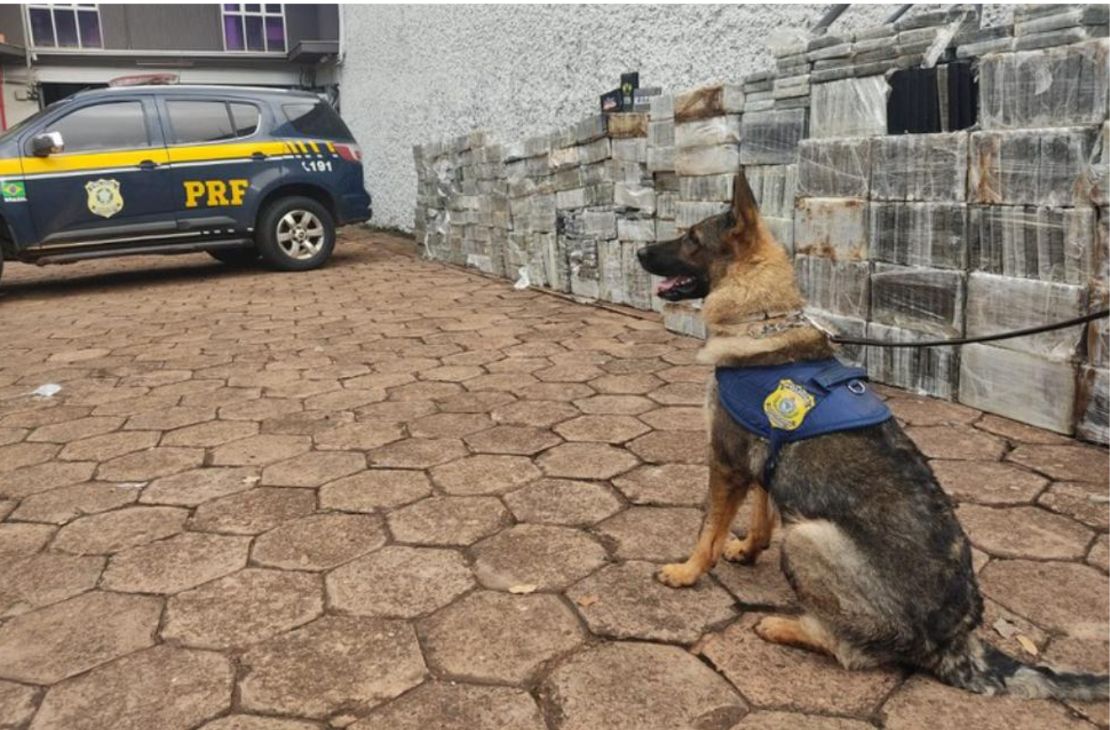 PRF faz a maior apreensão única de cocaína da sua história: 1.860 quilos