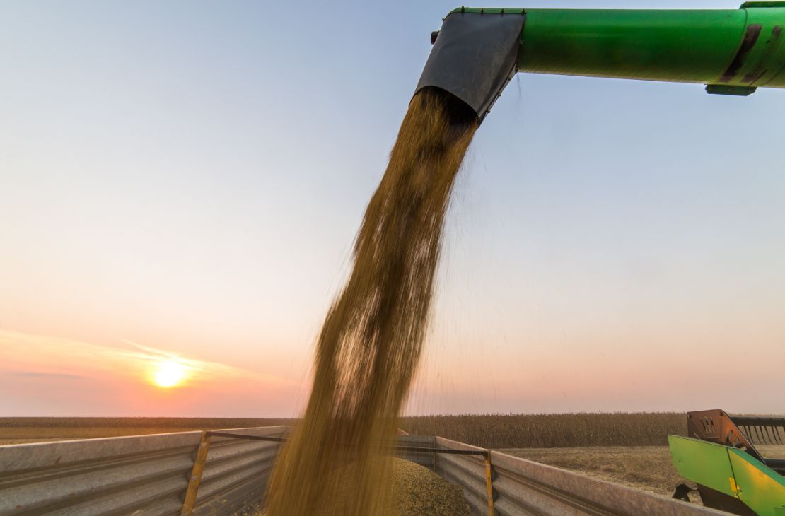 Na safra 2022/23, Mato Grosso supera Argentina e se torna terceiro maior produtor de soja do mundo