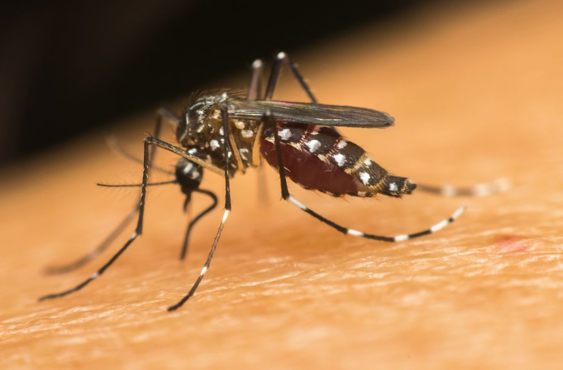 Estudo alerta para epidemia de Chikungunya e 2023 é o ano com mais casos