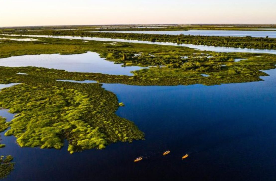 Ações integradas do Governo do Estado garantem redução de incêndios no Pantanal