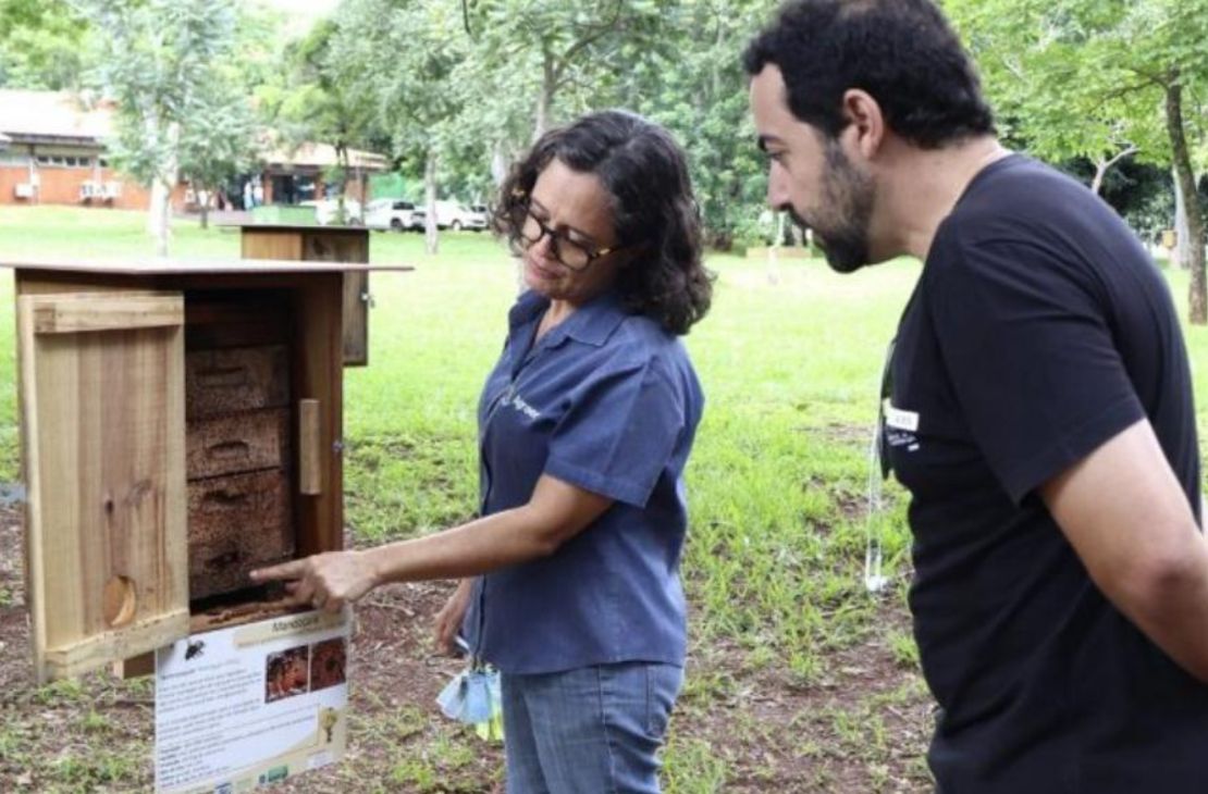 Primeiro curso de criação de abelhas sem ferrão vai ocorrer no Parque das Nações, em Campo Grande
