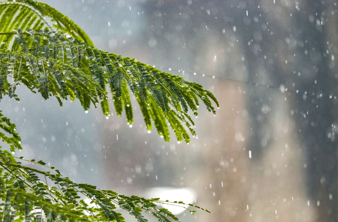 Chuva e temperatura em queda marcam a previsão do tempo a partir de hoje em MS