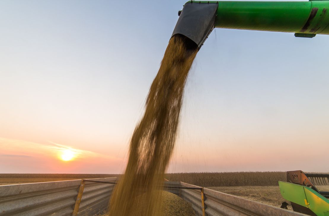 Valor da produção agrícola do MS será recorde em 2023: R$ 55,78 bilhões