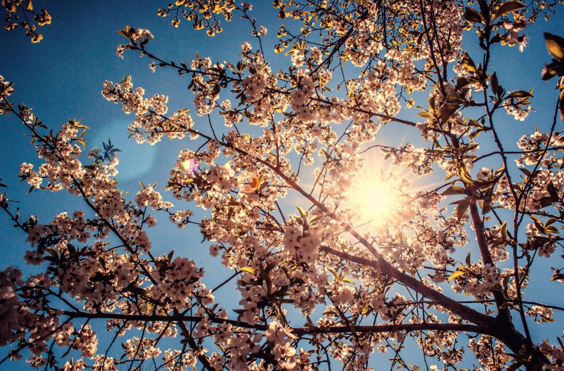 Sol e variação de nebulosidade é a previsão para esta sexta-feira em MS