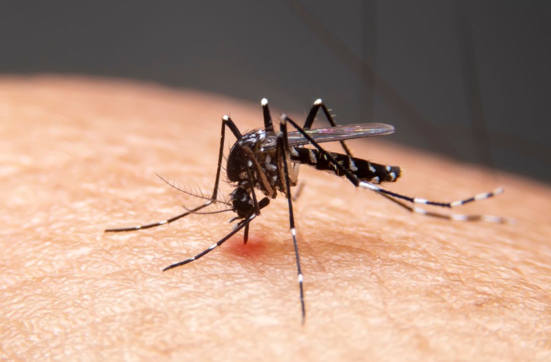 Estado registra duas mortes e 1,4 mil casos de dengue em uma semana