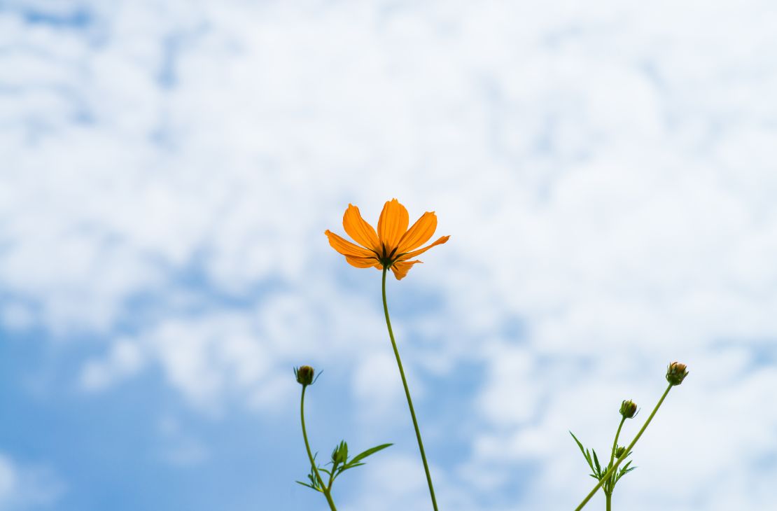 Semana começa com tempo estável, mas nova frente fria deve provocar chuvas em MS