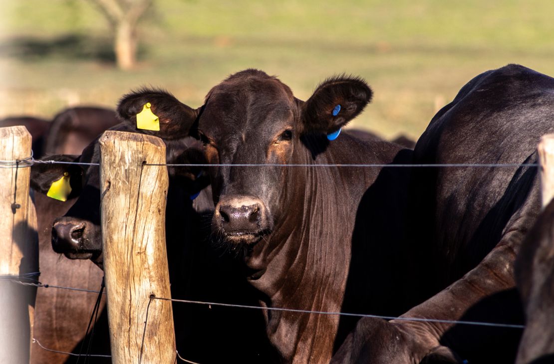 Produção agrícola do Estado deve superar 72 milhões de toneladas com renda acima dos R$ 52 bilhões