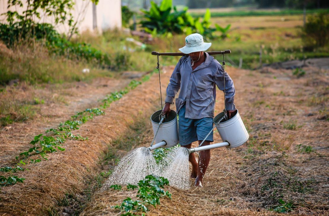 Governo anuncia Plano Safra para agricultura familiar e totaliza R$ 441 bilhões em recursos ao setor