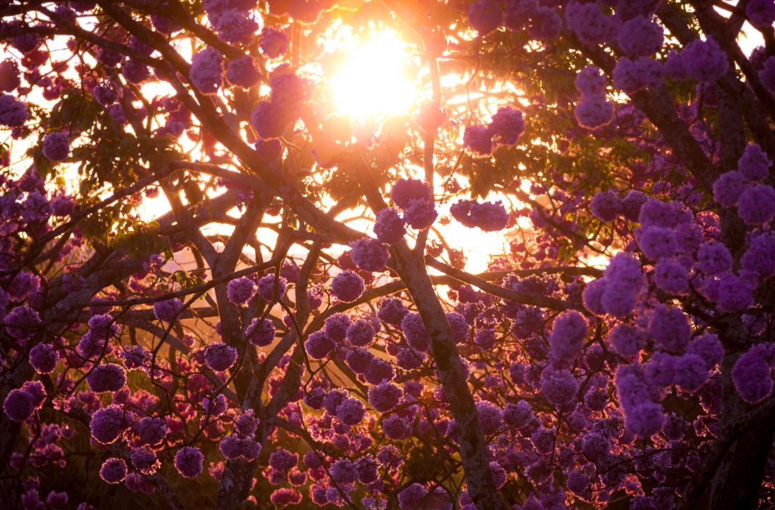 Semana começa com tempo estável, mas com previsão de queda na temperatura na quinta-feira