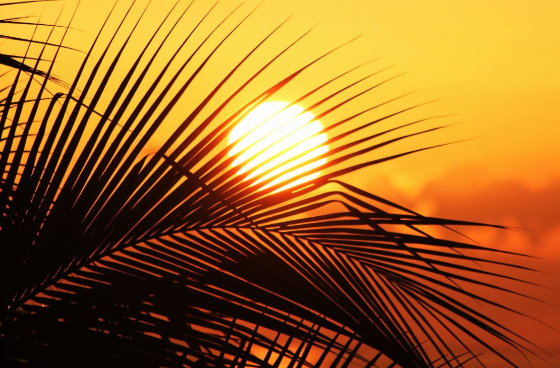 Segunda-feira com sol, tempo seco e temperaturas elevadas para todo o estado